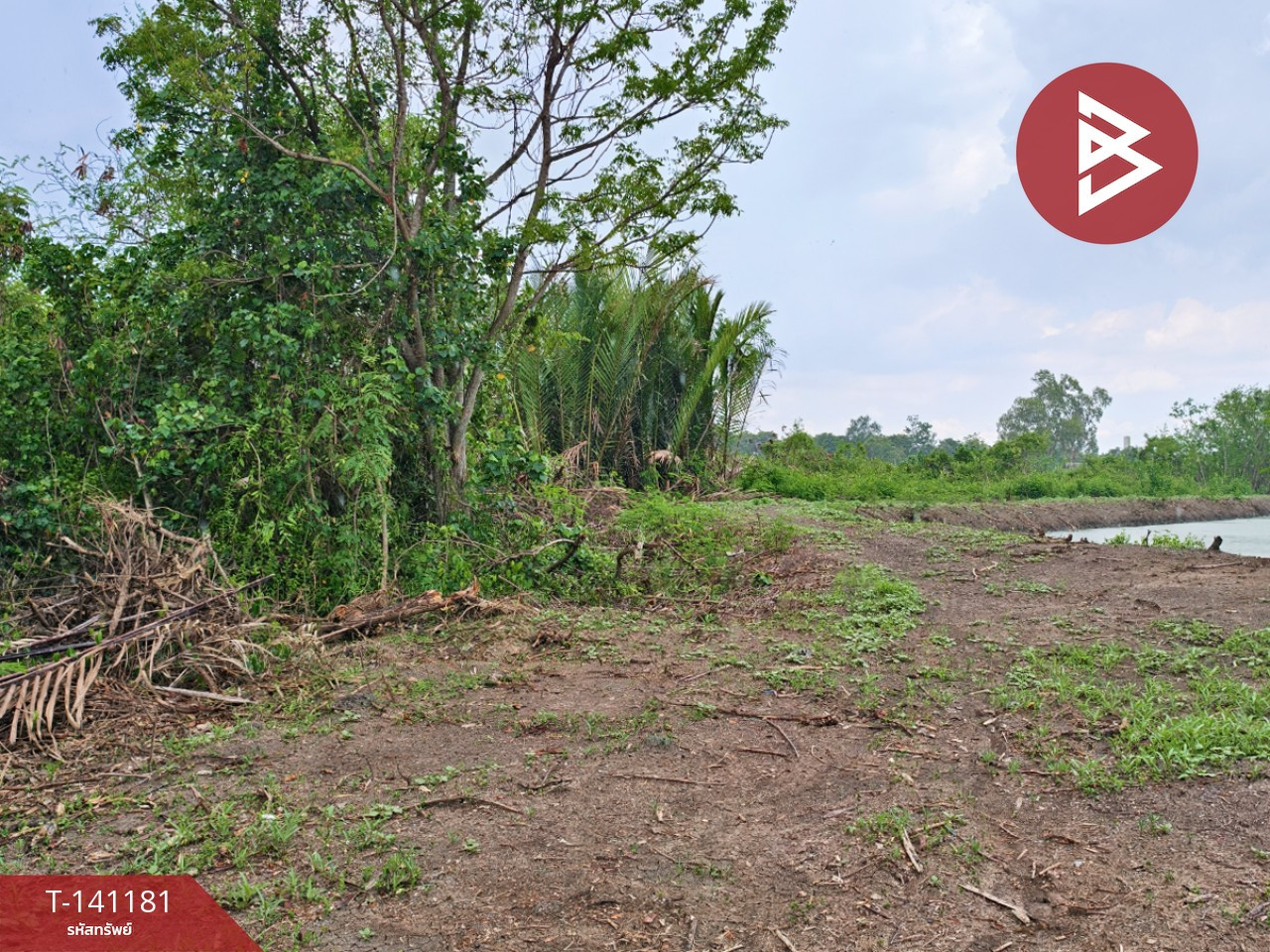 Land for sale, area 9 rai 3 ngan 81 sq m, Ban Mai, Chachoengsao. Land for sale, area 9 rai 3 ngan 81 sq m, Ban Mai, Chachoengsao.