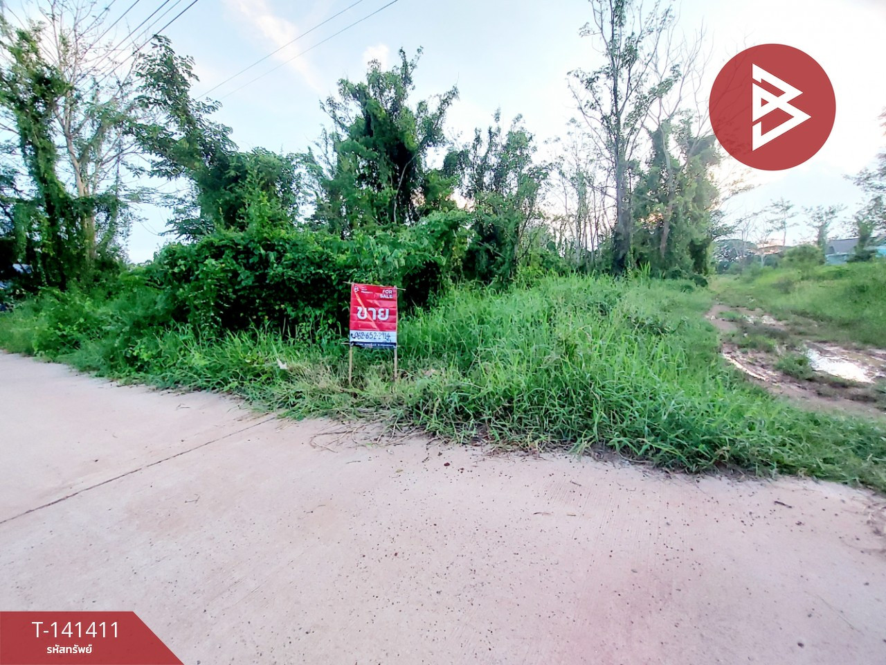 Land for sale, area 1 ngan, Jumpol Subdistrict, Phon Phisai District, Nong Khai Province.