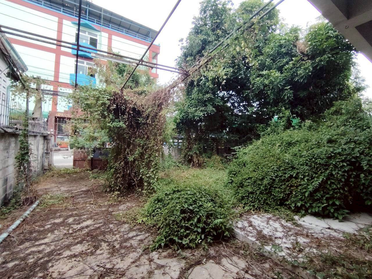 ขายตามสภาพบ้านเดี่ยว 2 ชั้น สร้างเอง ซอยเพชรเกษม 53 เนื้อที่  77 ตรว. – รูปที่ 2