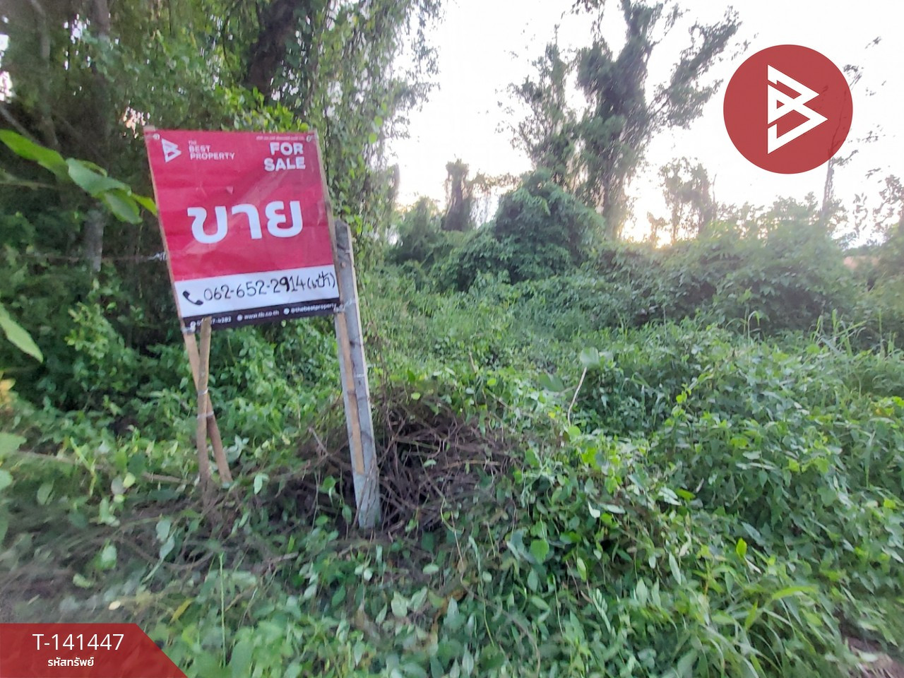 ขายที่ดิน เนื้อที่ 1 งาน 17 ตร.วา โพนพิสัย หนองคาย – รูปที่ 2