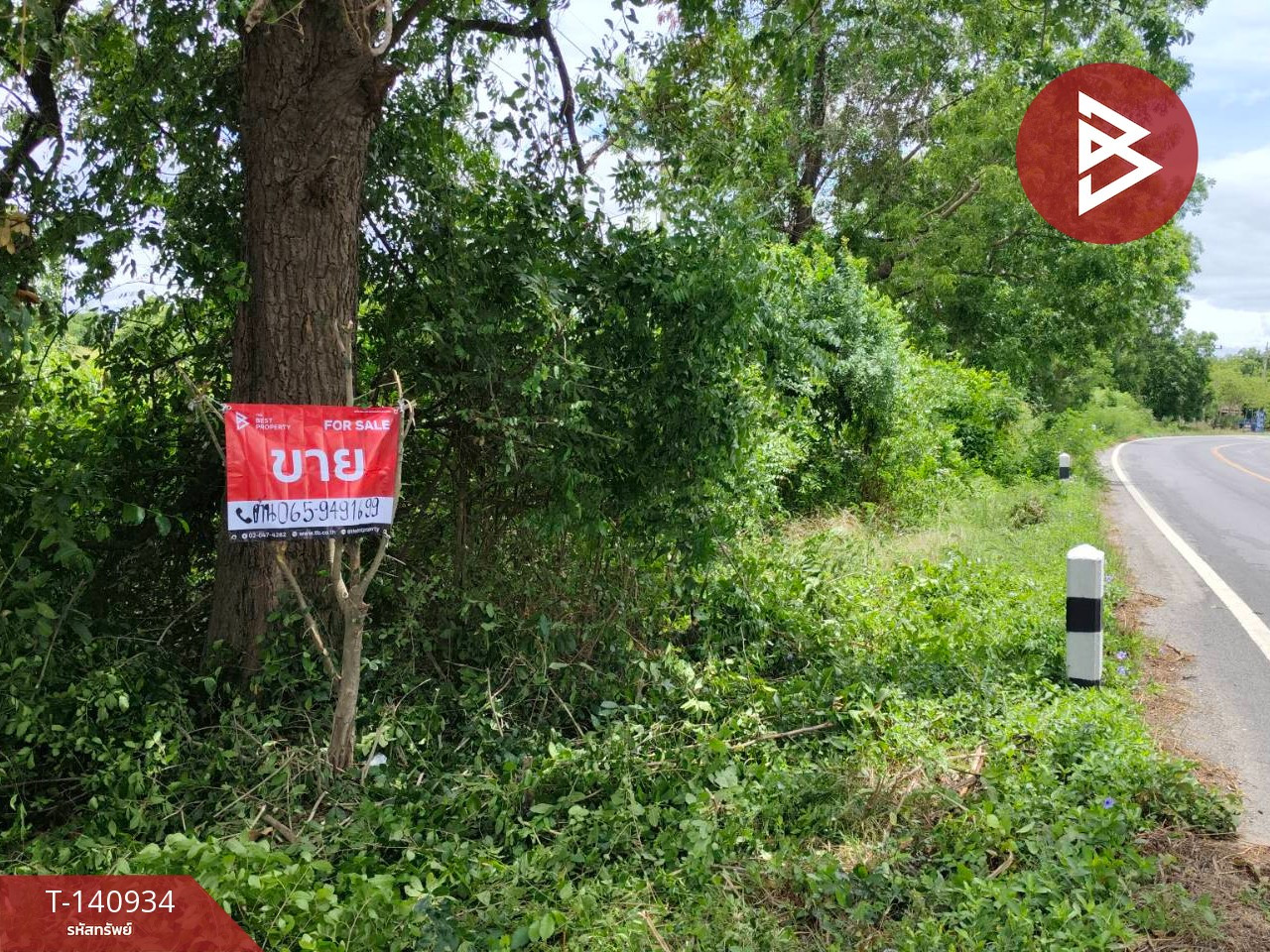 Land for sale, area 13 rai 1 ngan 68 sq m, Don Chedi, Suphan Buri. – รูปที่ 4