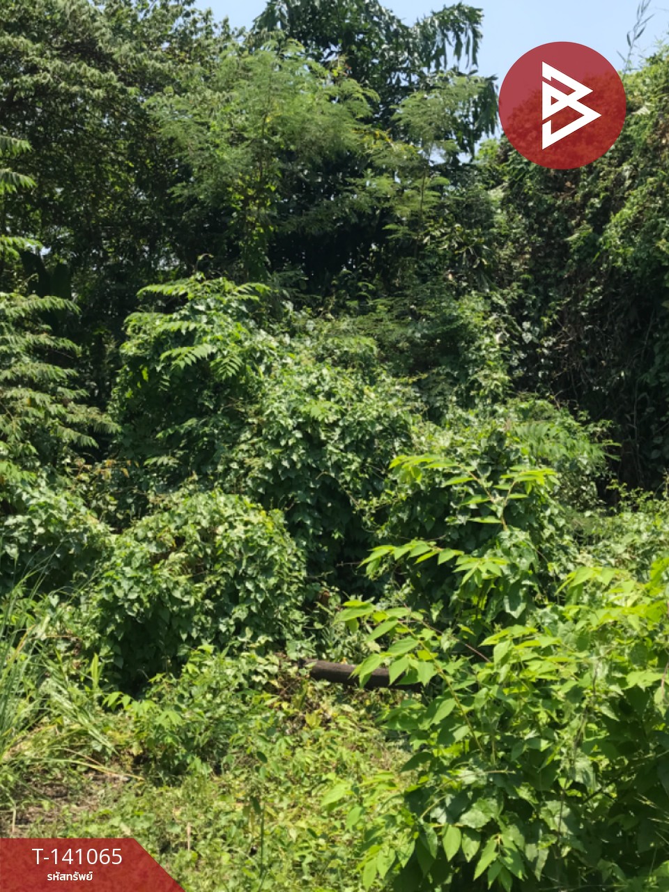 Land for sale, area 82 square meters, Talat Khwan Subdistrict, Mueang Nonthaburi.