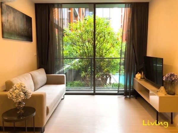 for rent Quintara treehouse 42 2 bed super deal🌈⭐️
