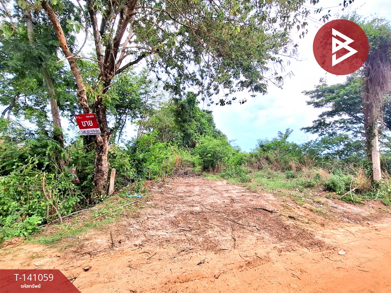 Land for sale, area 116.6 square meters, Sa Nok Kaeo Subdistrict Roi Et Province