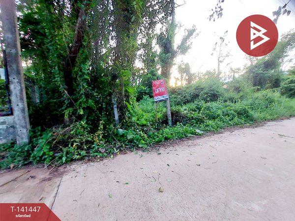 ขายที่ดิน เนื้อที่ 1 งาน 17 ตร.วา โพนพิสัย หนองคาย