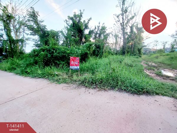 Land for sale, area 1 ngan, Jumpol Subdistrict, Phon Phisai District, Nong Khai Province.