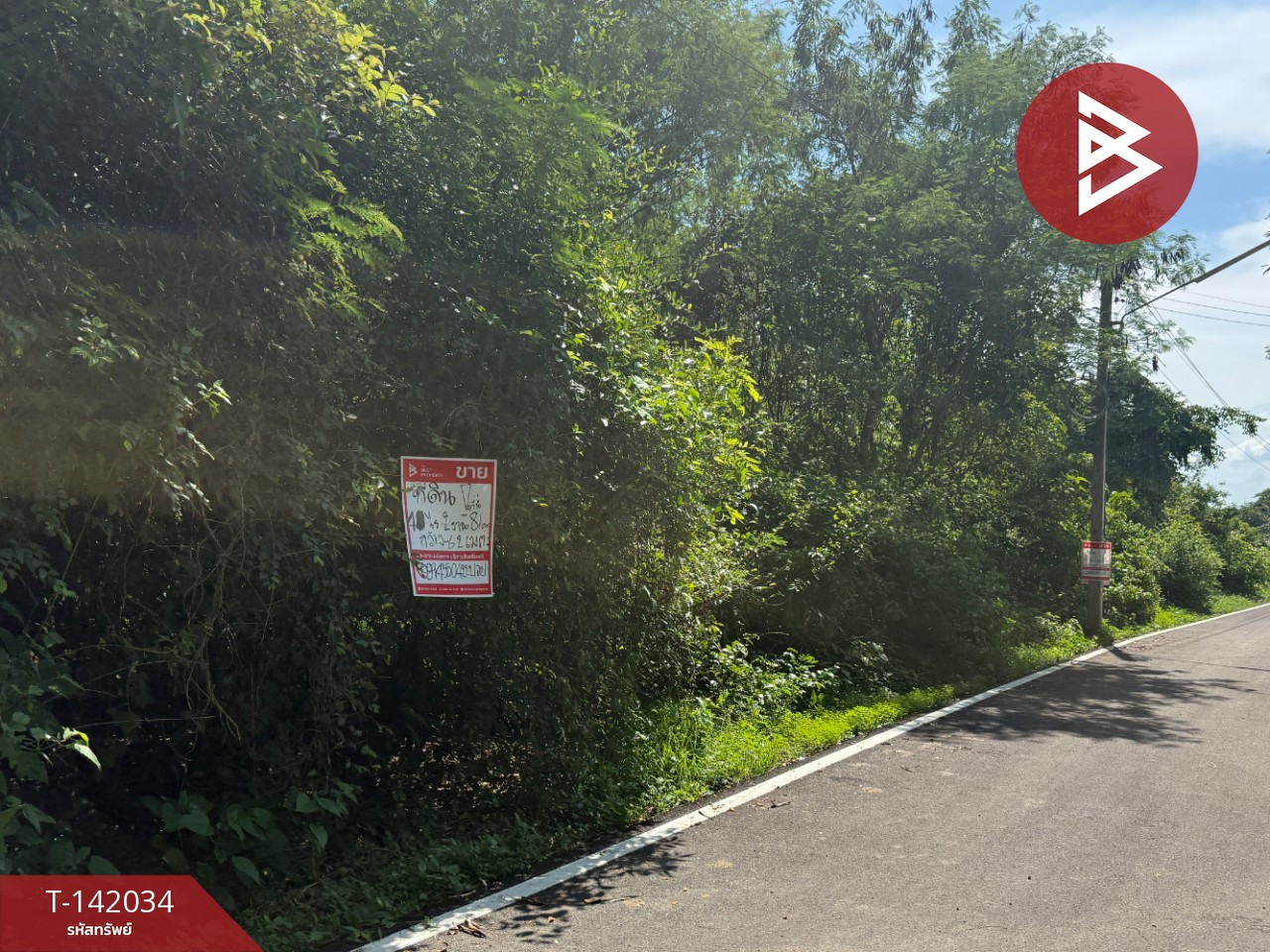 Land for sale, area 4 rai 3 ngan 81.5 square wah, Hua Wiang, Lampang. Land for sale, area 4 rai 3 ngan 81.5 square wah, Hua Wiang, Lampang.
