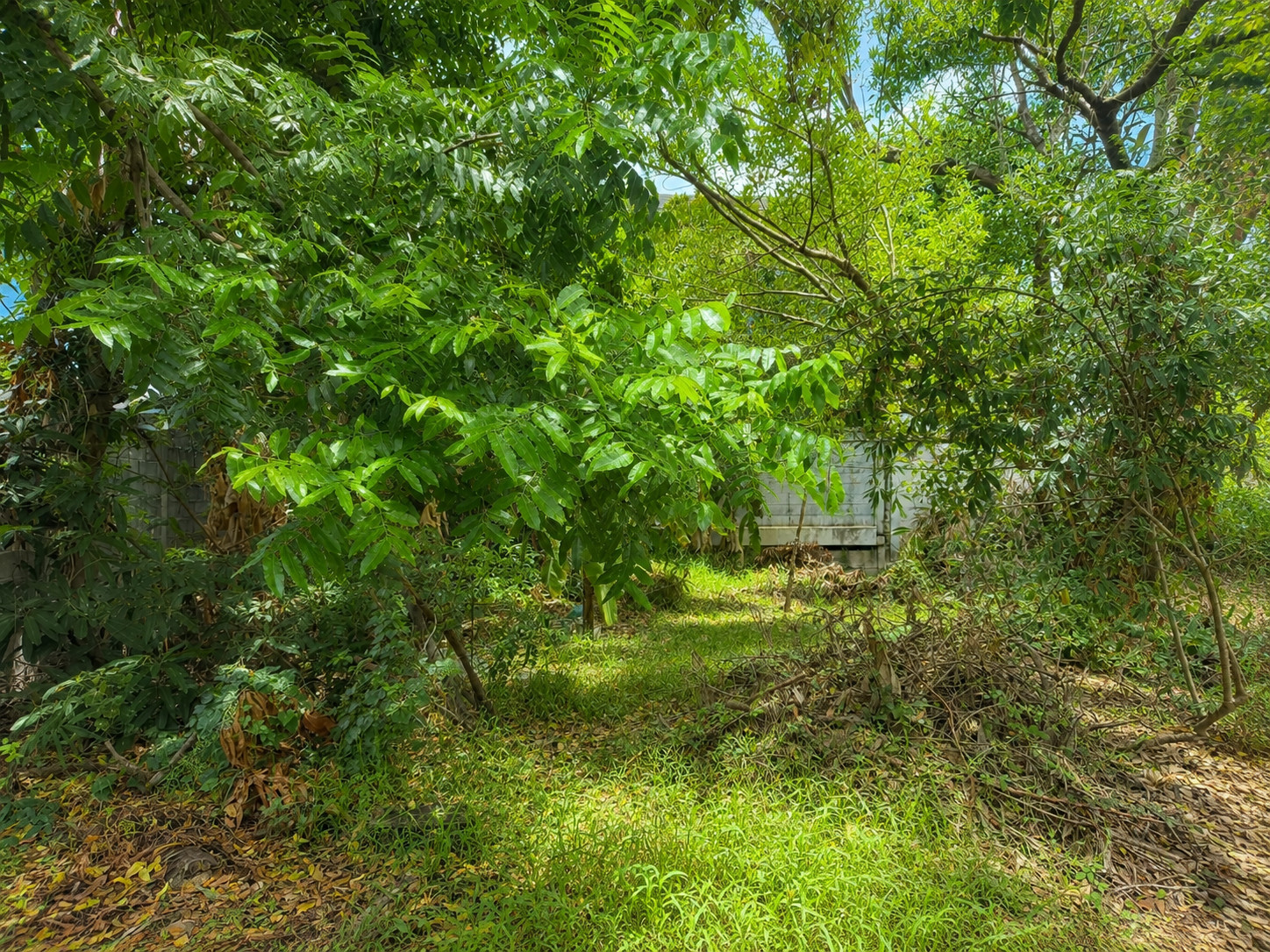Residential Land for Sale in Khu Khot, Lam Luk Ka – 372 sq.m. Plot with Approx. 19.5-Meter Frontage – รูปที่ 2