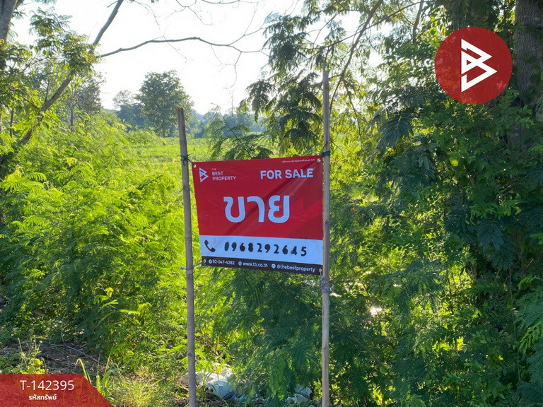 ขายที่ดินเปล่า เนื้อที่ 15 ไร่ 2 งาน 5 ตร.วา บ้านผือ อุดรธานี ขายที่ดินเปล่า เนื้อที่ 15 ไร่ 2 งาน 5 ตร.วา บ้านผือ อุดรธานี
