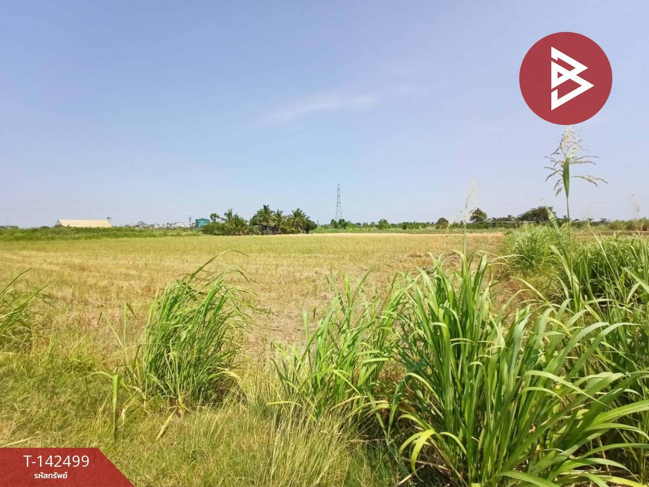 ขายที่ดิน เนื้อที่ 2 ไร่ 2 งาน 99.2 ตร.วา บ้านมะเกลือ นครสวรรค์ – รูปที่ 4