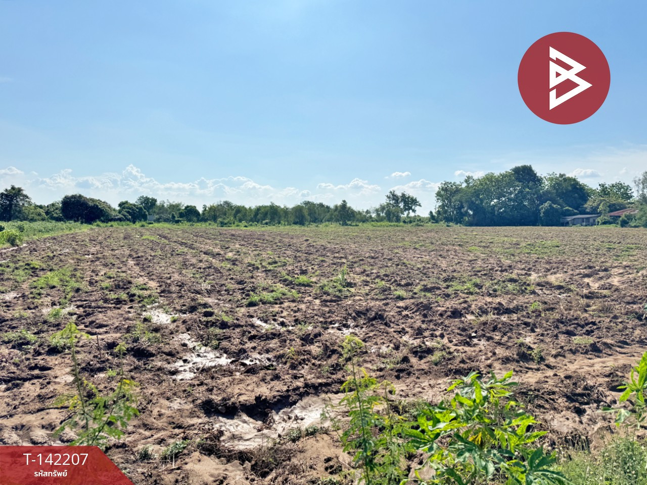 Land for sale, area 9 rai 26 sq m, long plot, Chachoengsao. – รูปที่ 2