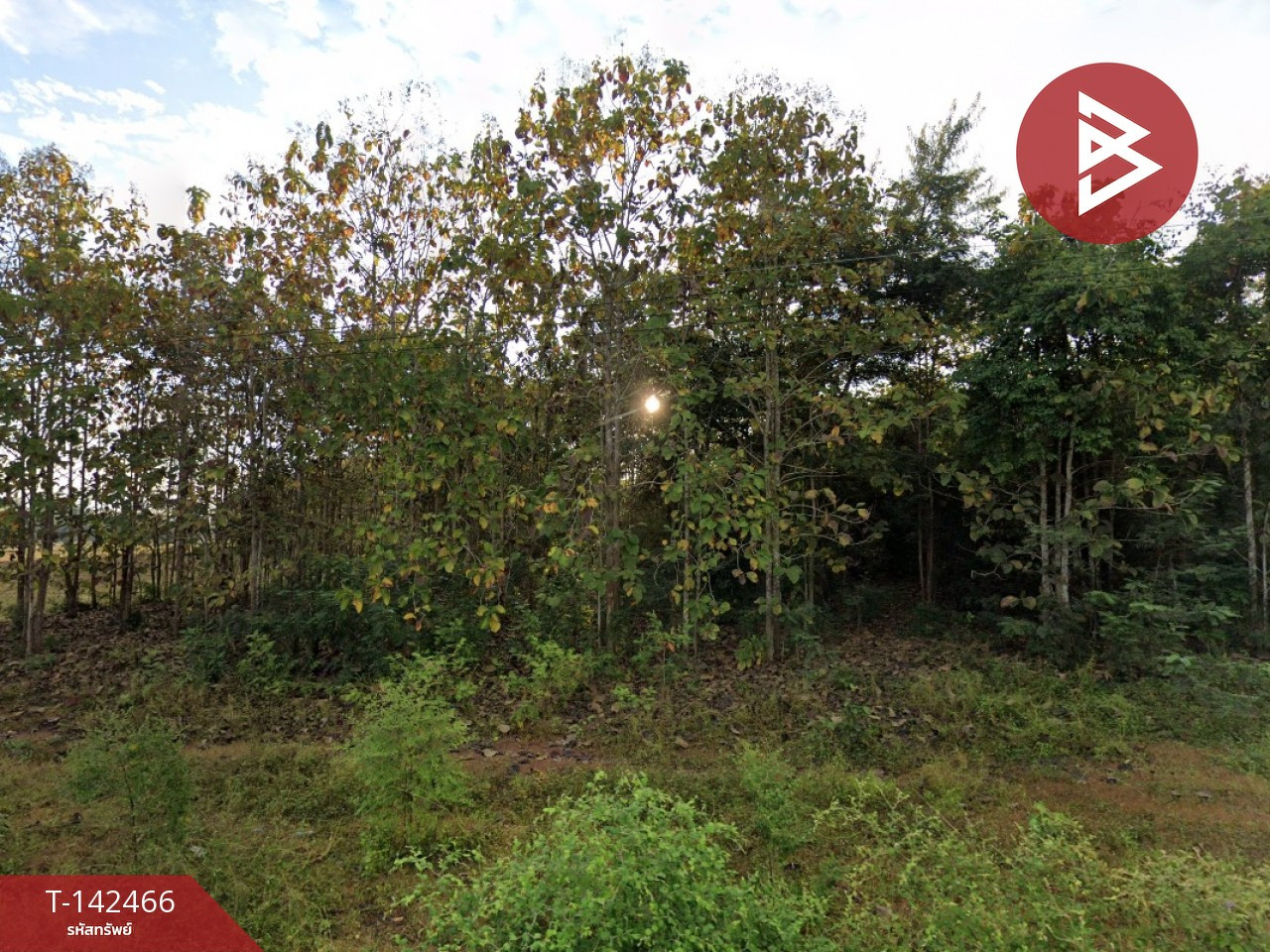 ขายที่ดิน เนื้อที่ 17 ไร่ 2 งาน 65.6 ตร.วา เชียงของ เชียงราย – รูปที่ 3