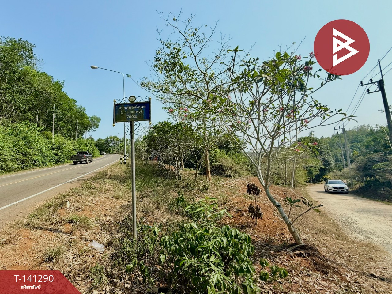 Land for sale, area 98 rai 2 ngan 62.3 sq m, Suan Lam Mai Mix, Tok Phrom, Mueang, Chanthaburi. – รูปที่ 2