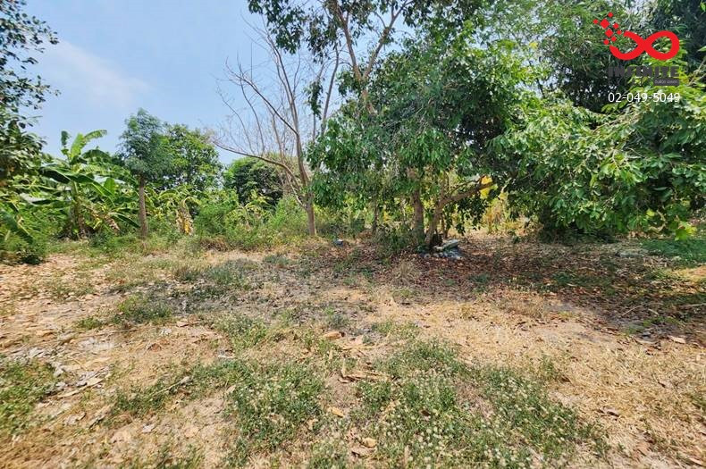 ขายที่ดินถมแล้ว 400 ตร.ว. วัดลาดปลาดุก บางคูรัด บางบัวทอง นนทบุรี – รูปที่ 4