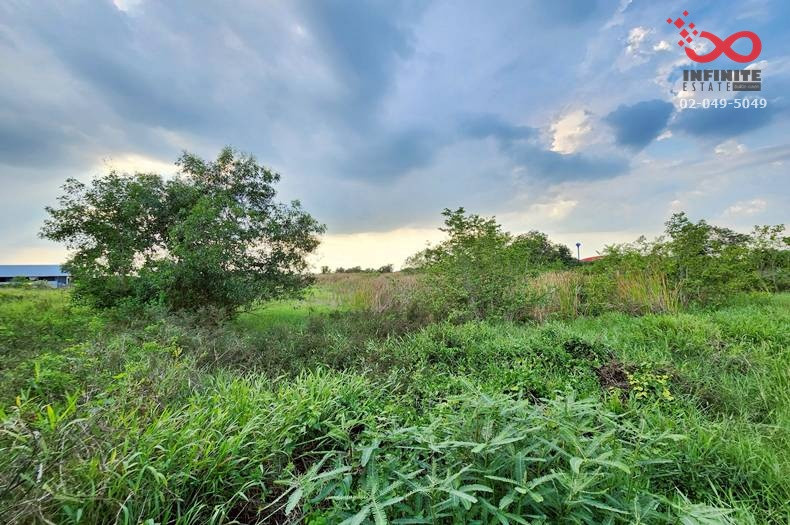 ขายที่ดิน 325 ตร.ว. คลองสี่ตะวันตก คลองหลวง ถนนคลองแอน ปทุมธานี   – รูปที่ 3