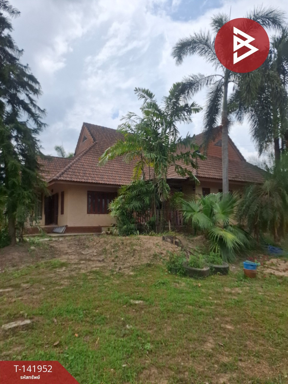 ขายบ้านเดี่ยวพร้อมที่ดิน เนื้อที่ 5 ไร่ 1 งาน 39 ตร.วา แม่จัน เชียงราย – รูปที่ 2