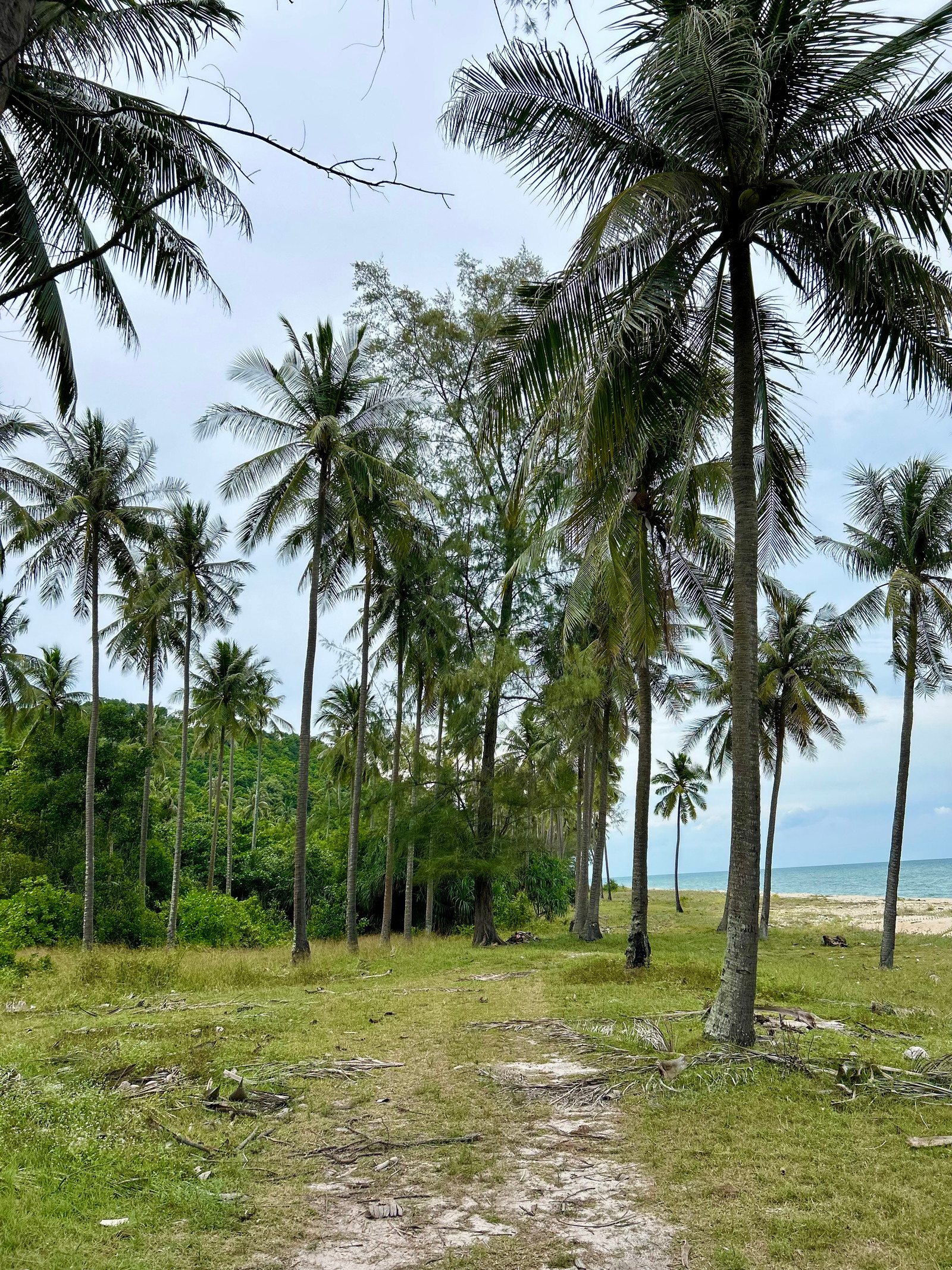 LAND FOR LEASE - BEACHFRONT NEAR SAKOM BEACH & KHAO LON VIEW POINT – รูปที่ 3