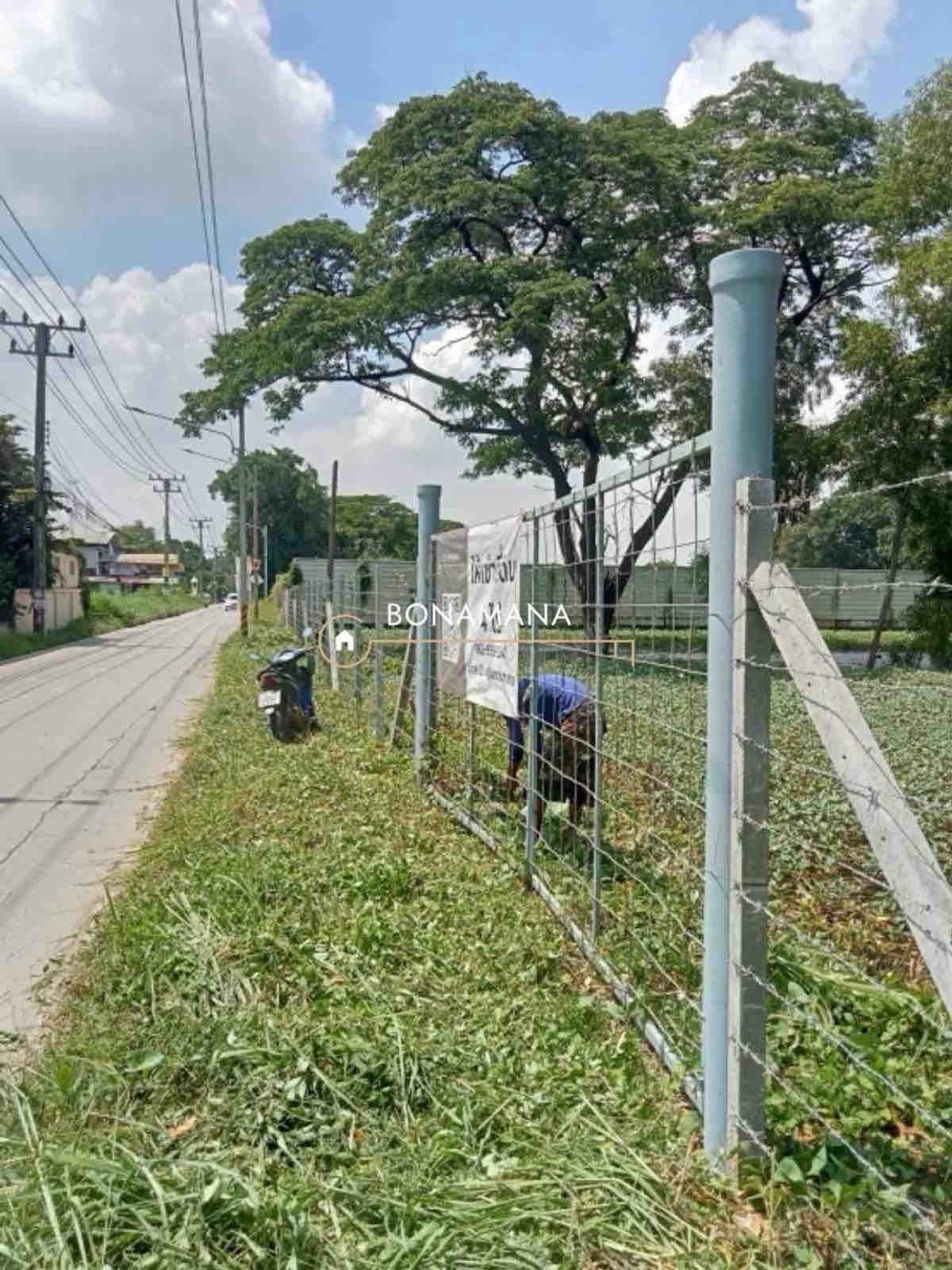 ขาย/เช่า ที่ดิน 4 ไร่ รังสิต คลอง 3 (อ.คลองหลวง) – รูปที่ 4