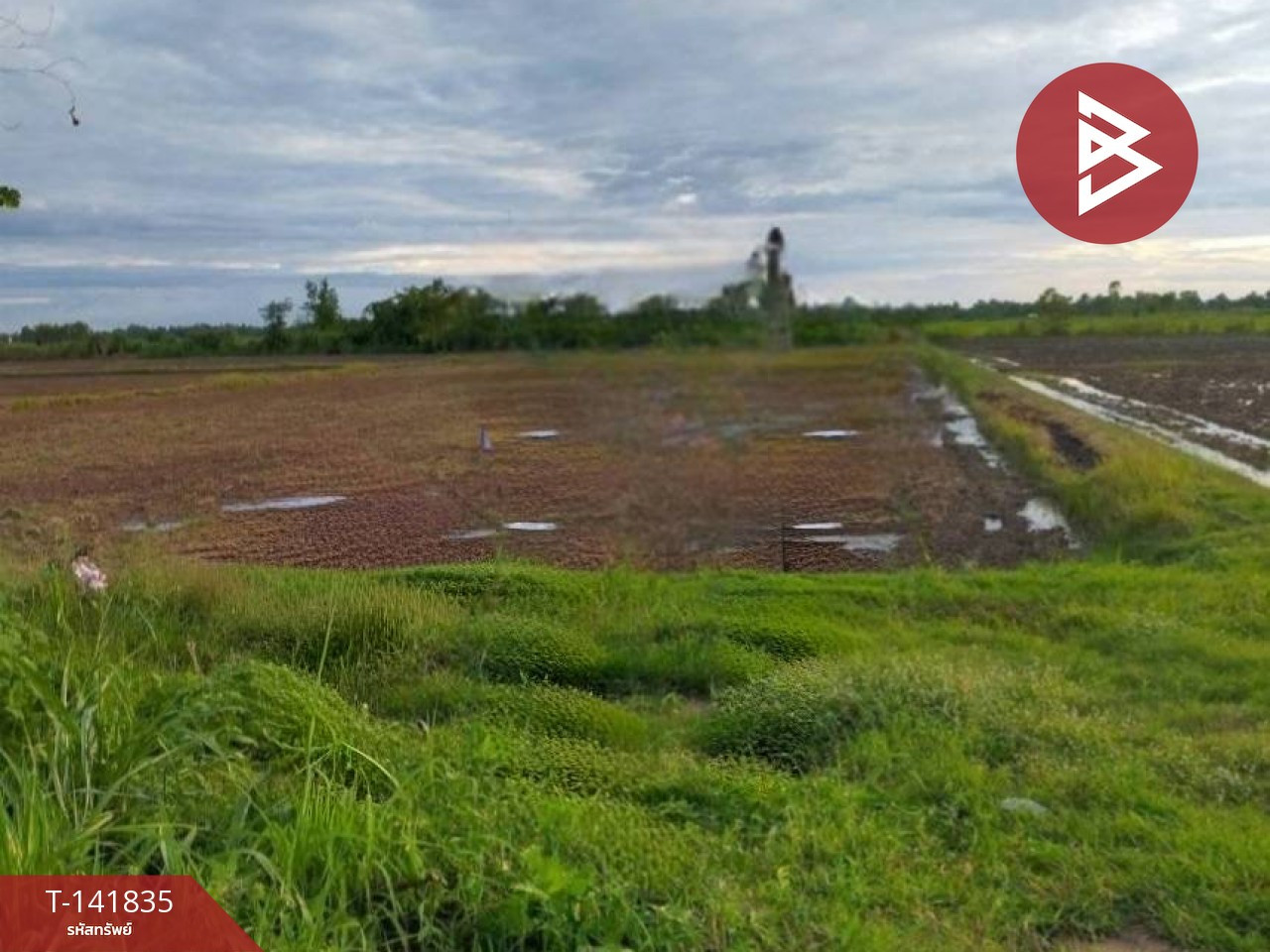 Land for sale, area 25 rai 3 ngan 16.6 sq m, Mueang Kao, Phichit. – รูปที่ 3