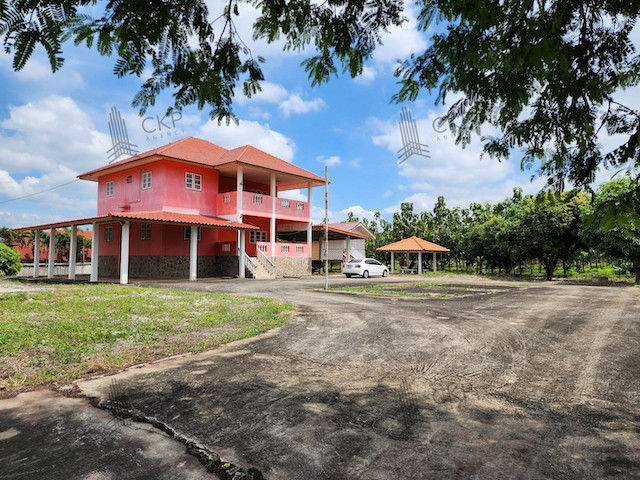 Land for sale in Klang Dong, Pak Chong, with a house and over 700 teak trees. Good atmosphere, not far from Bangkok, close to Mittraphap Road. | No. 93346 Land for sale in Klang Dong, Pak Chong, with a house and over 700 teak trees. Good atmosphere, not far from Bangkok, close to Mittraphap Road. | No. 93346