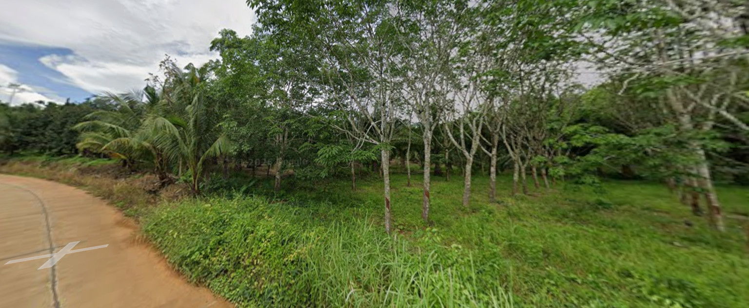 🌳 [FOR SALE] Beautiful Durian Orchard Treasure, 35 Rai with Full Yield Capacity in Chanthaburi – รูปที่ 4