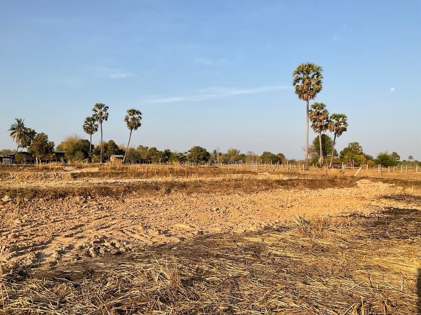 Urgent sale of land, good location, Udon Thani Province, 9 rai. Urgent sale of land, good location, Udon Thani Province, 9 rai.