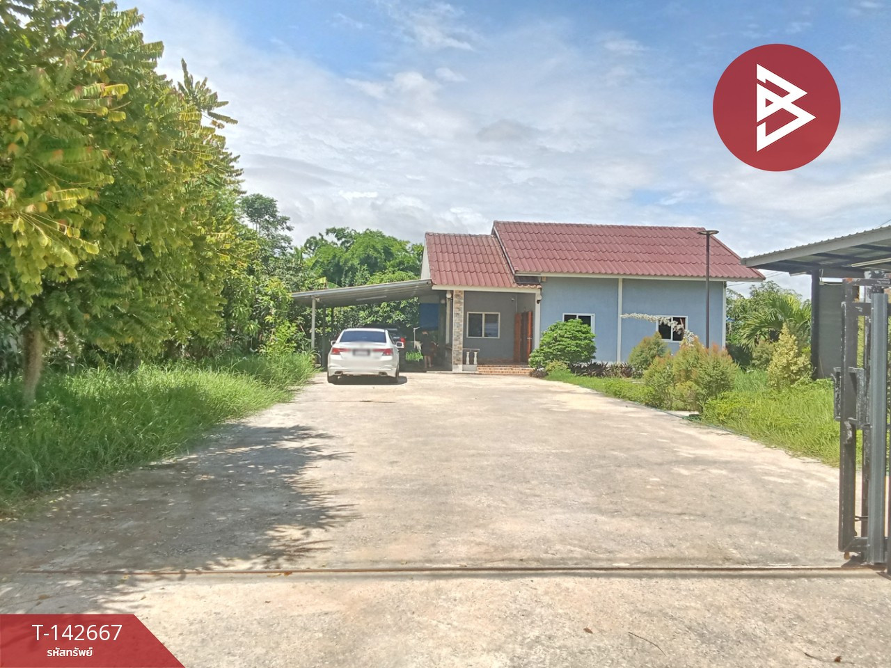 Single-storey detached house for sale, area 2 ngan, Ban Pong, Ratchaburi. Single-storey detached house for sale, area 2 ngan, Ban Pong, Ratchaburi.