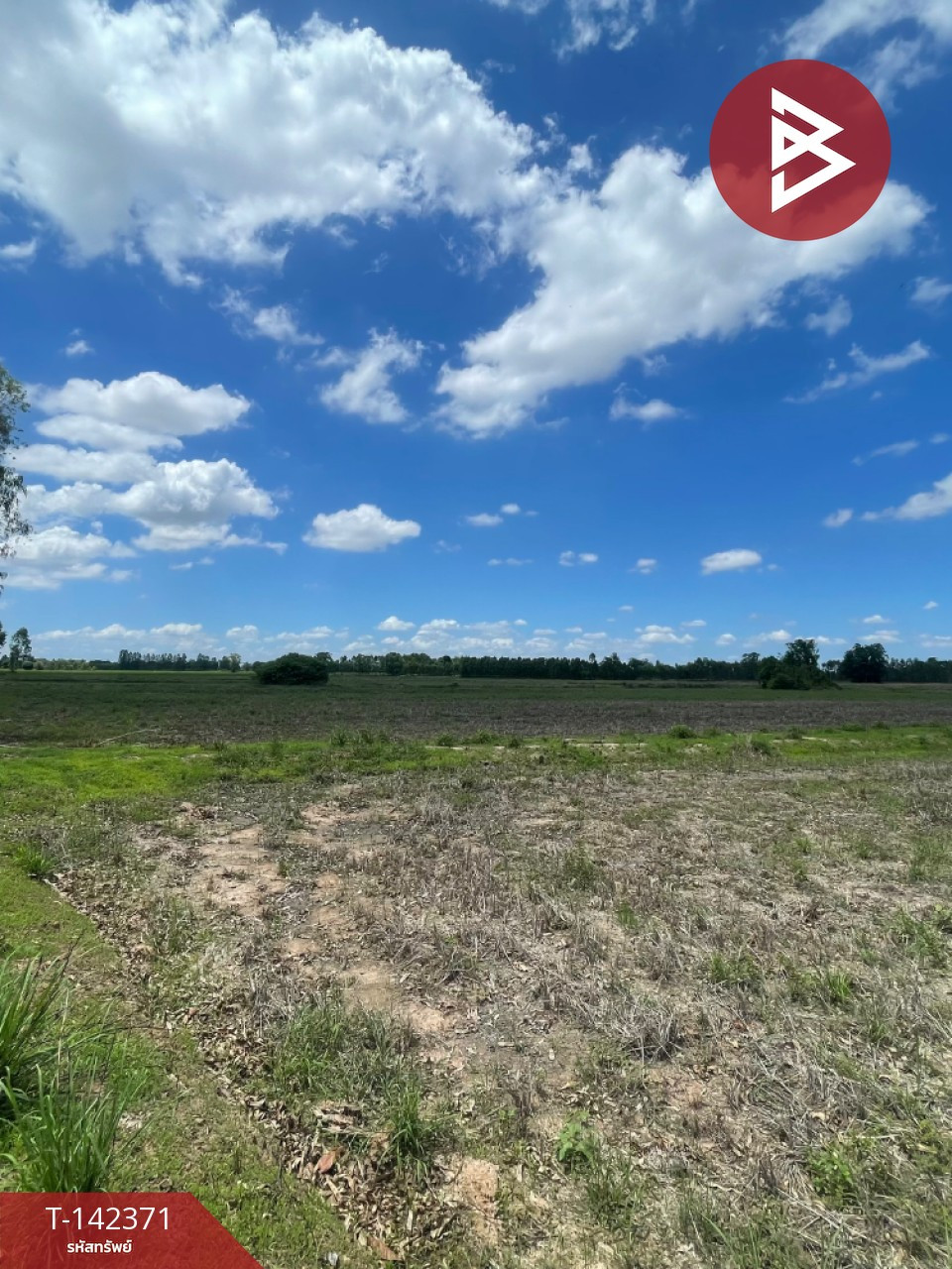 Land for sale, area 29 rai 2 ngan, Khanu Woralaksaburi, Kamphaeng Phet.