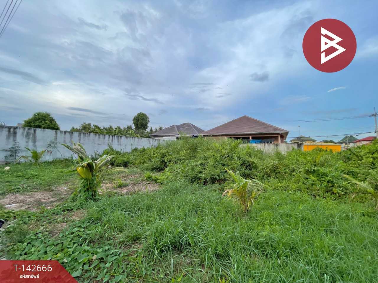 ขายที่ดิน เนื้อที่ 92 ตร.วา บ้านปรก สมุทรสงคราม ขายที่ดิน เนื้อที่ 92 ตร.วา บ้านปรก สมุทรสงคราม