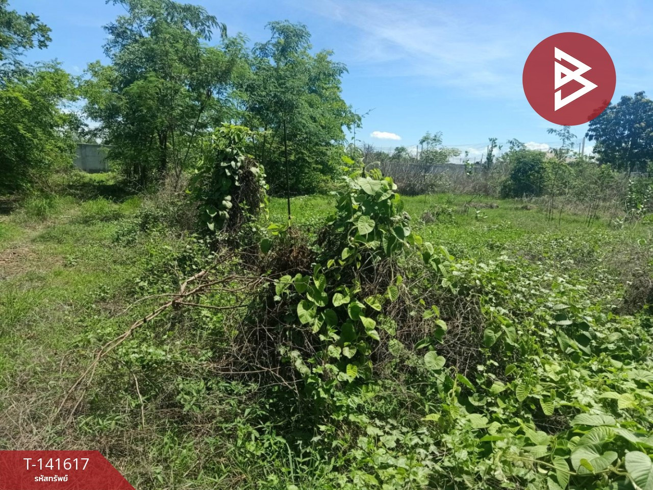 Land for sale, area 1 ngan 49.4 sq m, Nong Pling, Nakhon Sawan. – รูปที่ 3