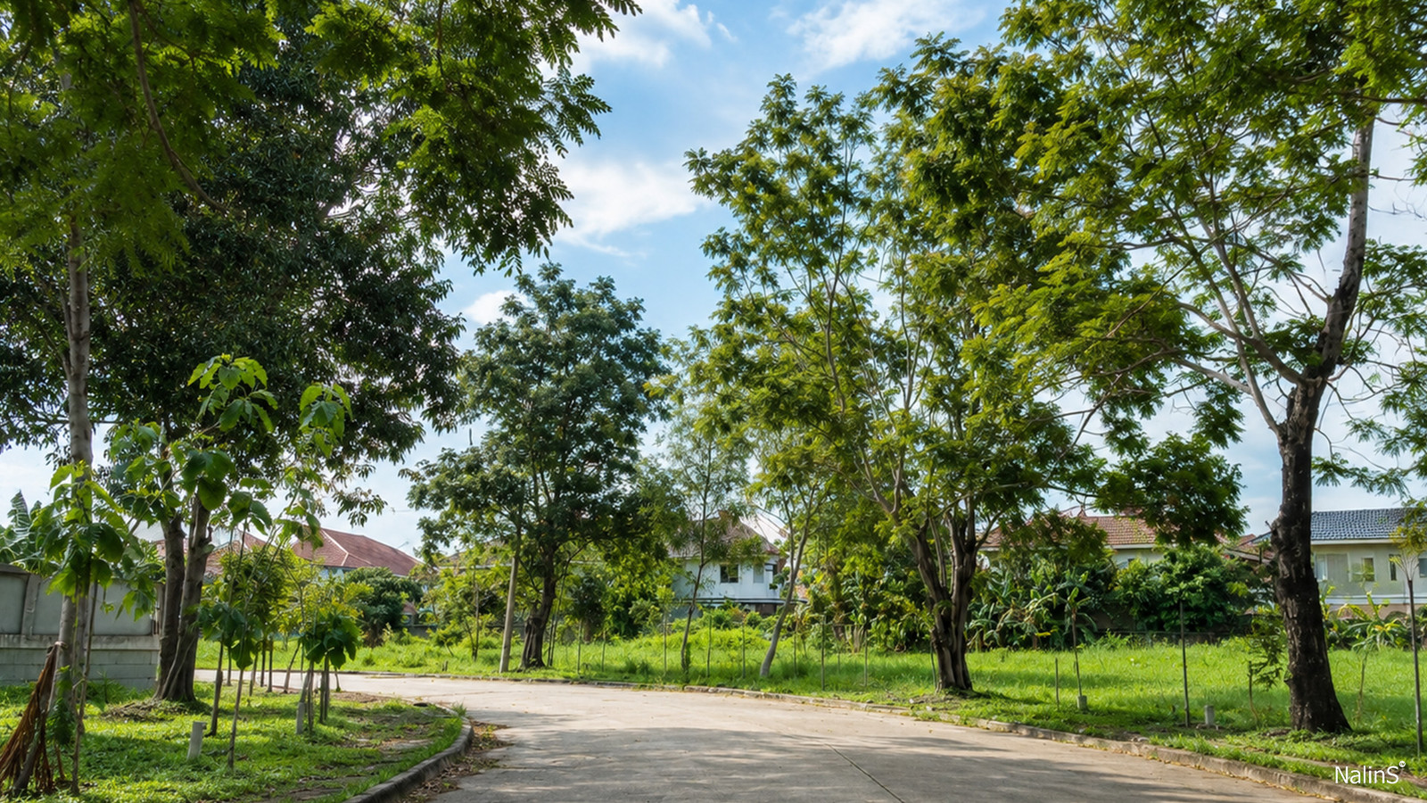356 Sq.M. Residential Land for Custom Home Development in Forest Park Village, Khlong Sam Wa, Bangkok | Near Safari World – รูปที่ 4