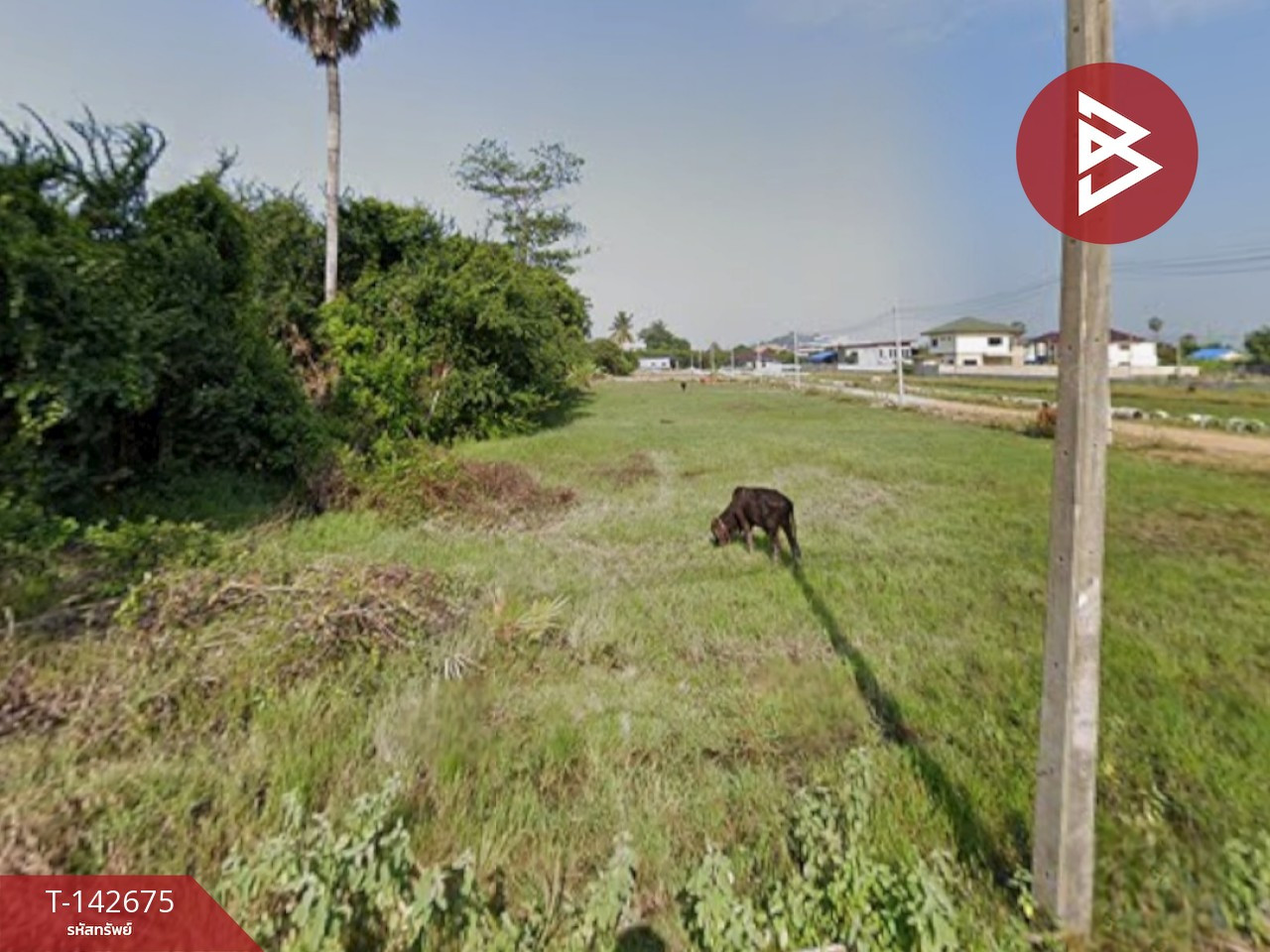 Beautiful land for sale, area 60 square meters, Tha Yang, Phetchaburi, cheap price, community area Beautiful land for sale, area 60 square meters, Tha Yang, Phetchaburi, cheap price, community area