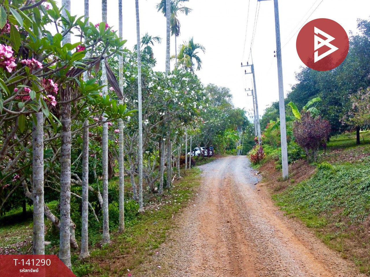Land for sale, area 98 rai 2 ngan 62.3 sq m, Suan Lam Mai Mix, Tok Phrom, Mueang, Chanthaburi. – รูปที่ 3