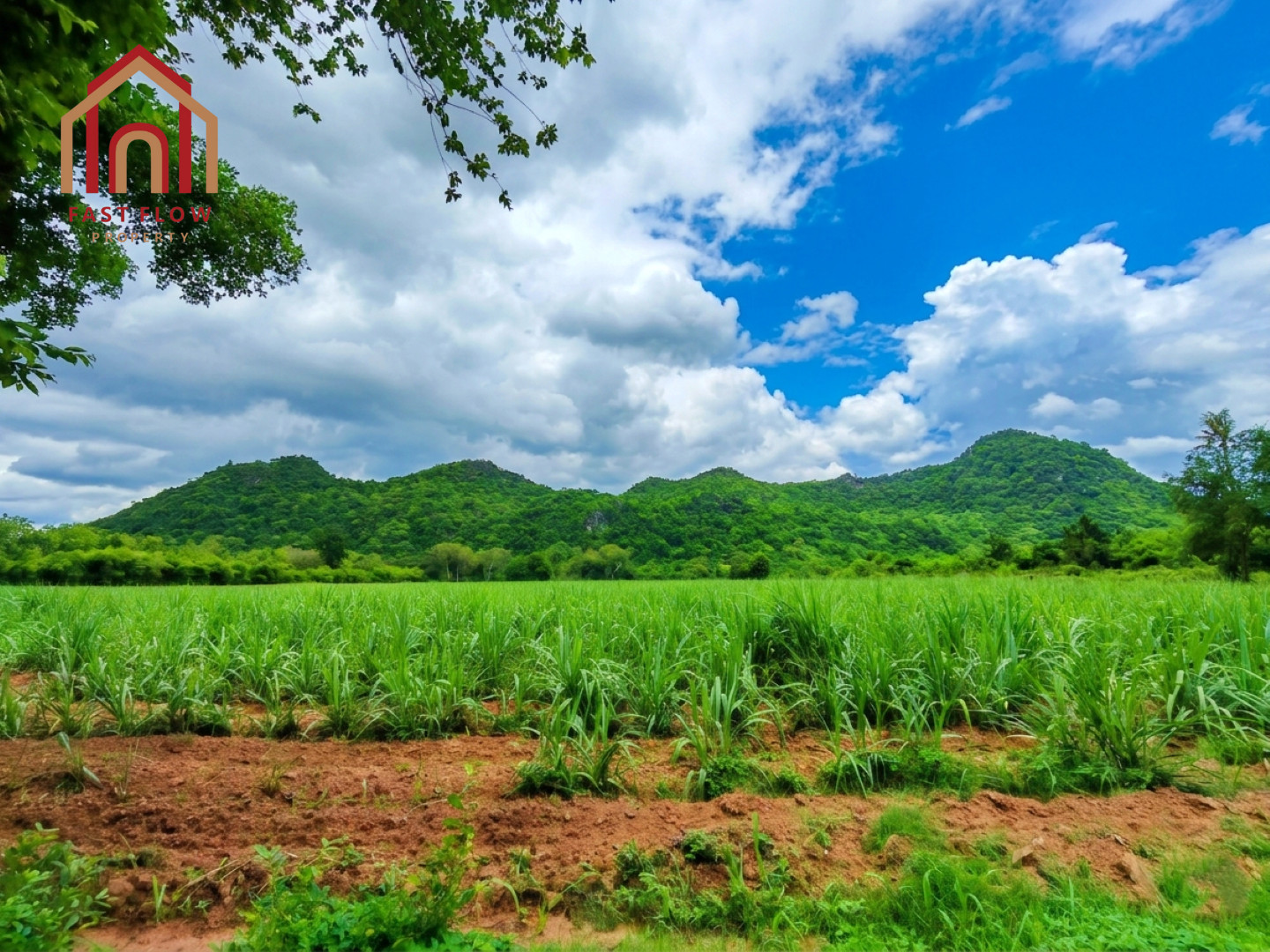ขายที่ดิน อ.ปากท่อ จ.ราชบุรี 33 ไร่เศษ ทำเลดี วิวภูขา ใกล้วิทยาลัยการอาชีพปากท่อ วัดเขากิ่ว (เขาพระเอก) โรงเจถ้ำมังกรทอง ซอยทุ่งหลวง10 ทุ่งหลวง8 RICH – รูปที่ 3