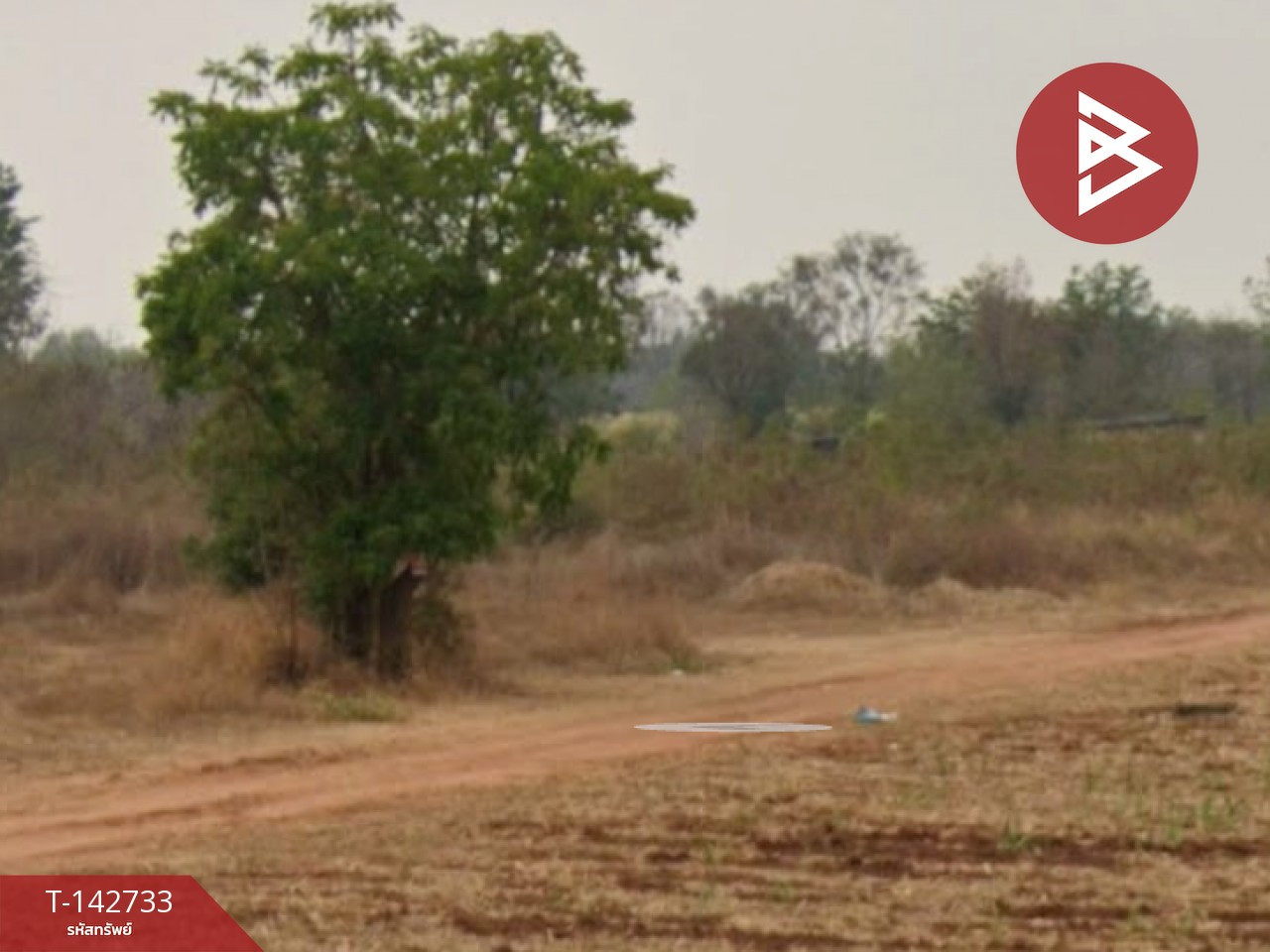 ขายที่ดินเปล่า เนื้อที่ 2 งาน หนองเรือ ขอนแก่น – รูปที่ 2