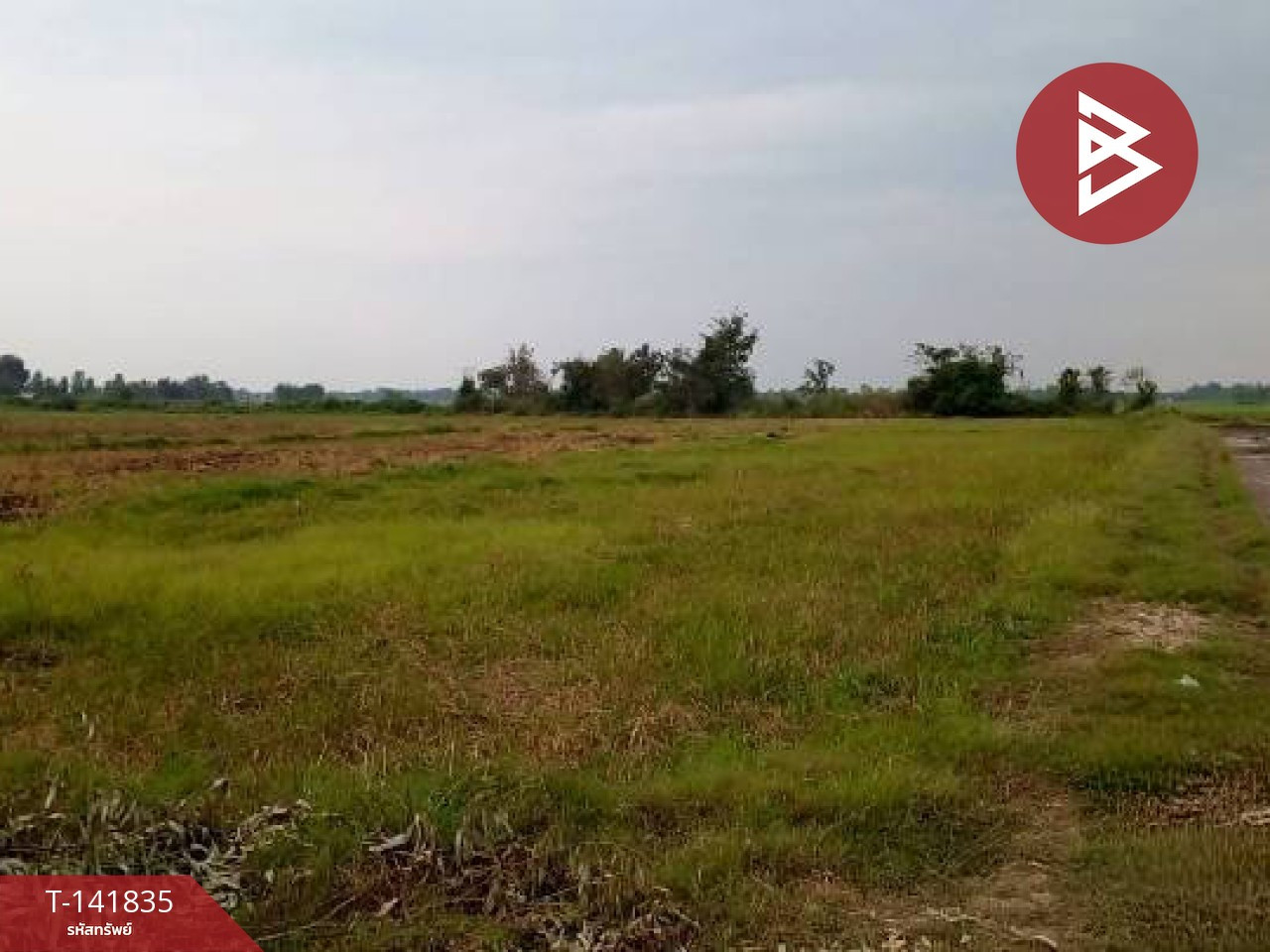 Land for sale, area 25 rai 3 ngan 16.6 sq m, Mueang Kao, Phichit. – รูปที่ 4