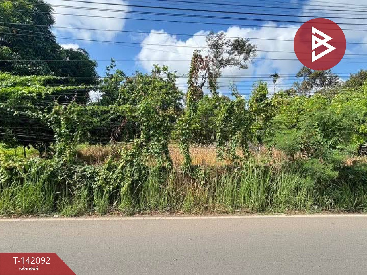Land for sale, area 2 rai 3 ngan 40 square wah, Khao Wua, Tha Mai, Chanthaburi. – รูปที่ 2