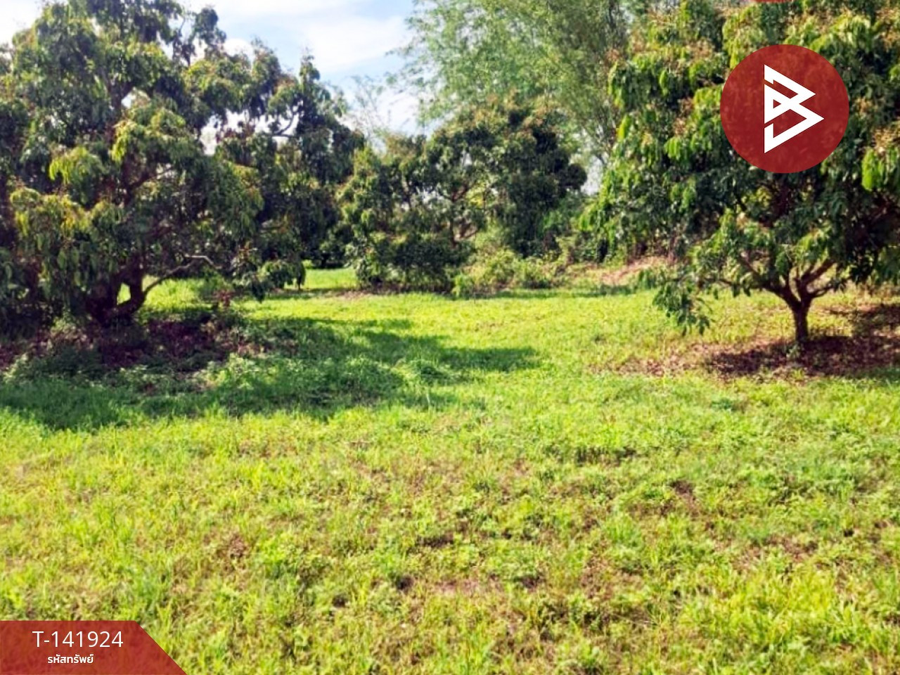 Land for sale, area 3 rai, Thoeng, Chiang Rai. – รูปที่ 3