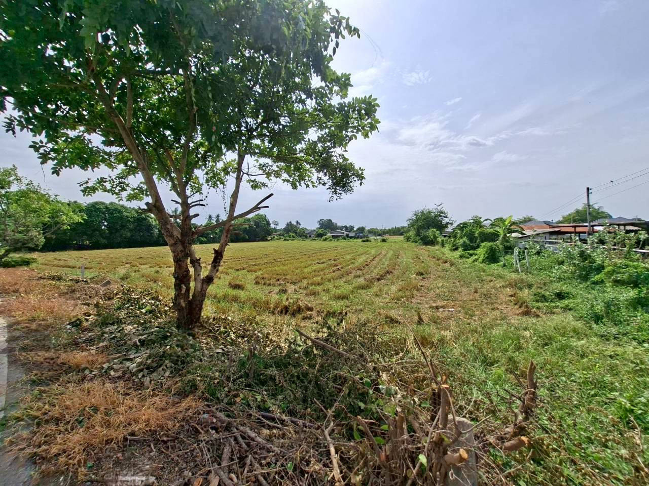 ขายที่ดินติดถนนสองด้าน ตำบลหนองกบ, อำเภอบ้านโป่ง ขายที่ดินติดถนนสองด้าน ตำบลหนองกบ, อำเภอบ้านโป่ง