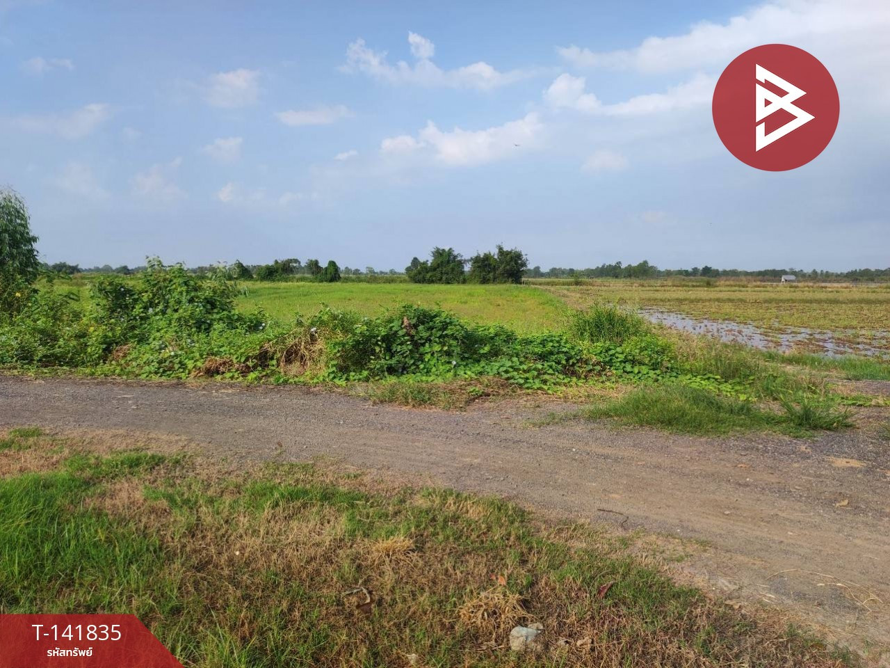 Land for sale, area 25 rai 3 ngan 16.6 sq m, Mueang Kao, Phichit. – รูปที่ 2