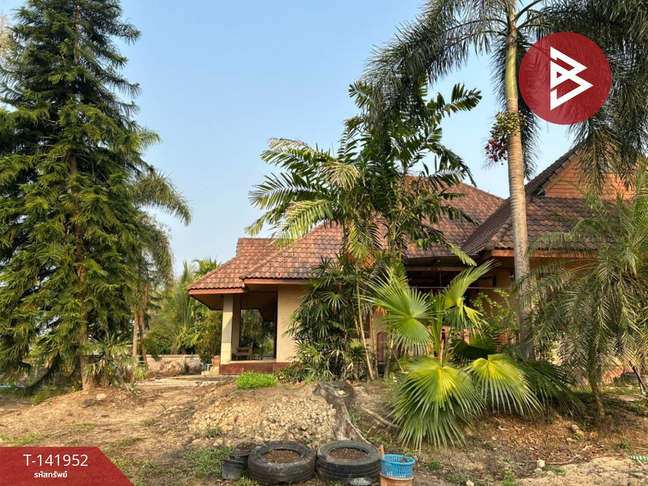 ขายบ้านเดี่ยวพร้อมที่ดิน เนื้อที่ 5 ไร่ 1 งาน 39 ตร.วา แม่จัน เชียงราย – รูปที่ 3