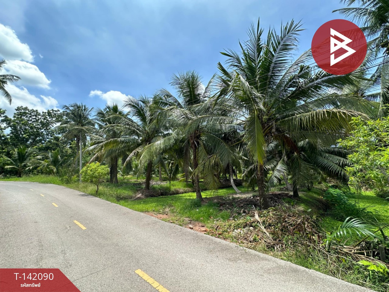 Land for sale, area 4 rai 1 ngan 79 sq m, Amphawa, Samut Songkhram. – รูปที่ 4