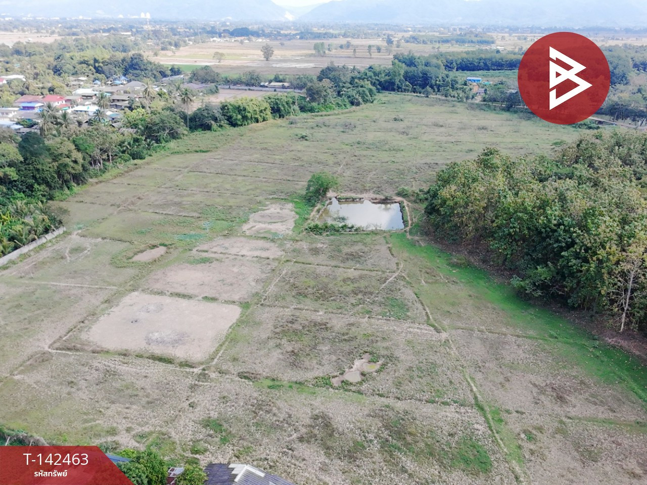 Land for sale, area 24 rai 66.6 sq m, Chiang Khong, Chiang Rai Land for sale, area 24 rai 66.6 sq m, Chiang Khong, Chiang Rai