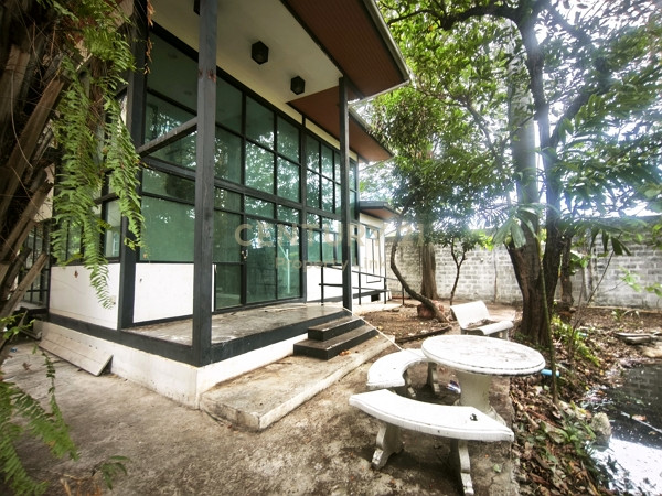 [ให้เช่า] บ้านเดี่ยวแปลงใหญ่ 111 ตร.ว. ทำเลทองประดิพัทธ์-อารีย์-สะพานควาย No.50-HH-66051 – รูปที่ 4