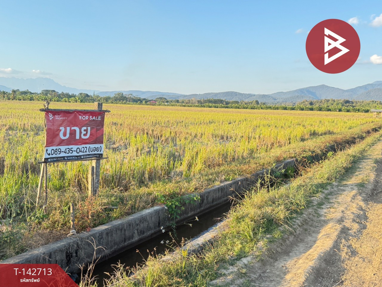 ขายที่ดิน เนื้อที่ 4 ไร่ 50.3 ตร.วา แม่แตง เชียงใหม่ – รูปที่ 2