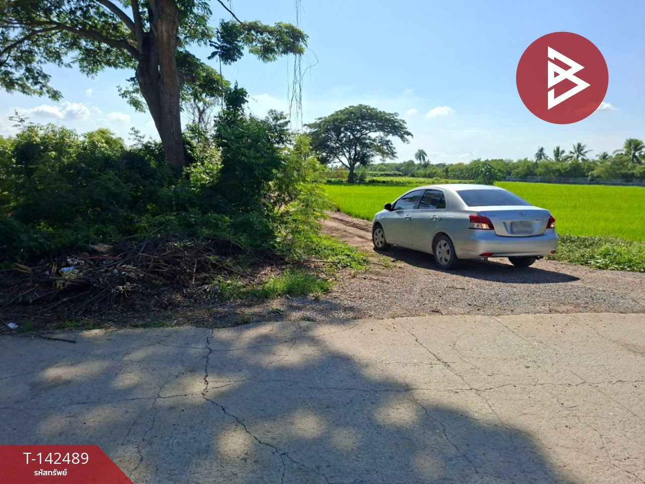 Land for sale, area 7 rai 2 ngan 23.0 square wa, Doembang Nangbuat District, Suphan Buri. – รูปที่ 2
