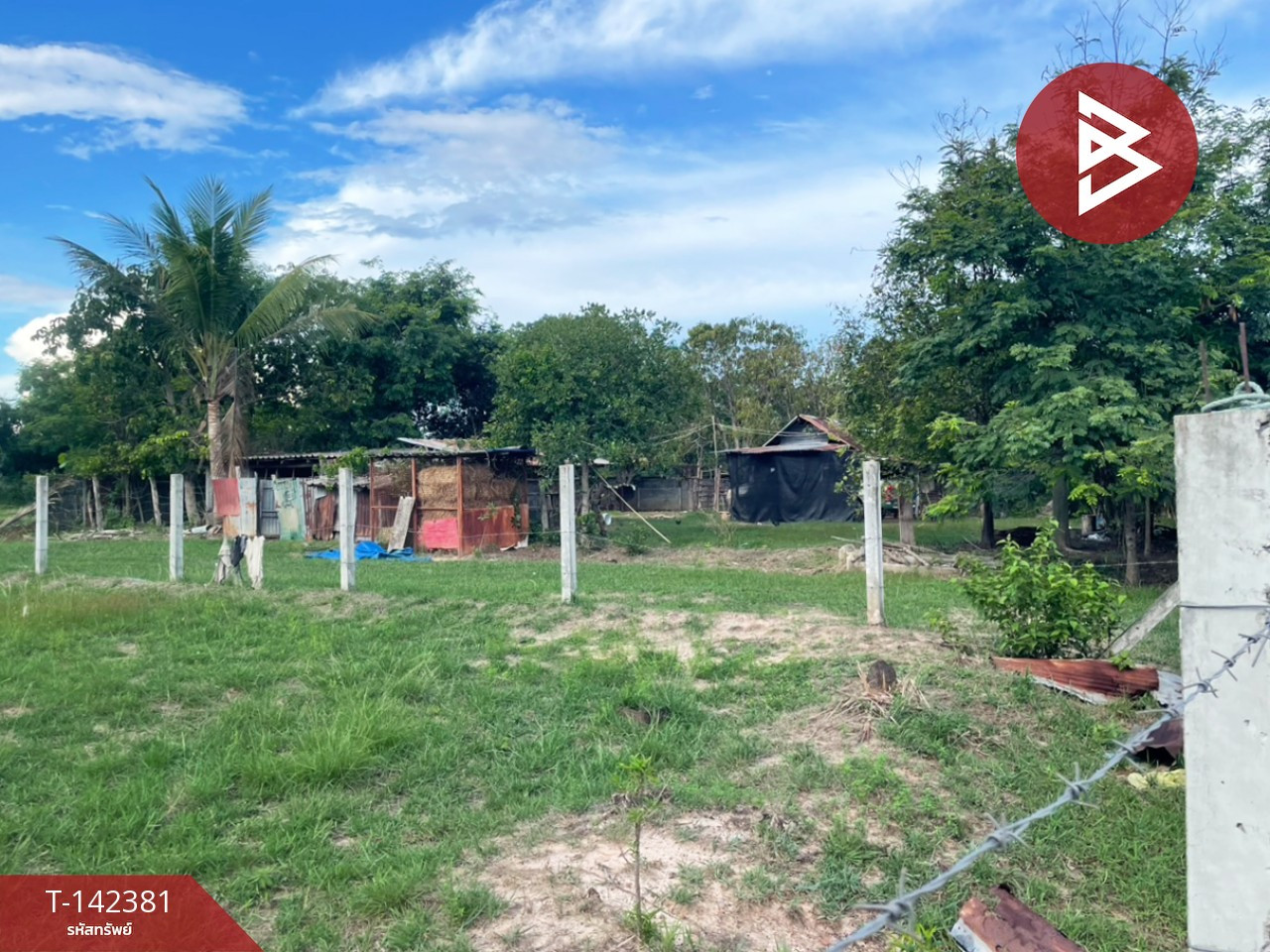 Land for sale, area 4 rai 62 sq m, Kut Lat, Ubon Ratchathani. Land for sale, area 4 rai 62 sq m, Kut Lat, Ubon Ratchathani.