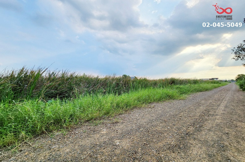 Empty land for sale, 2 rai 276 square wah, Khlong An Road, Khlong Si Tawan Tok, Khlong Luang, Rangsit-Nakhon Nayok. – รูปที่ 3