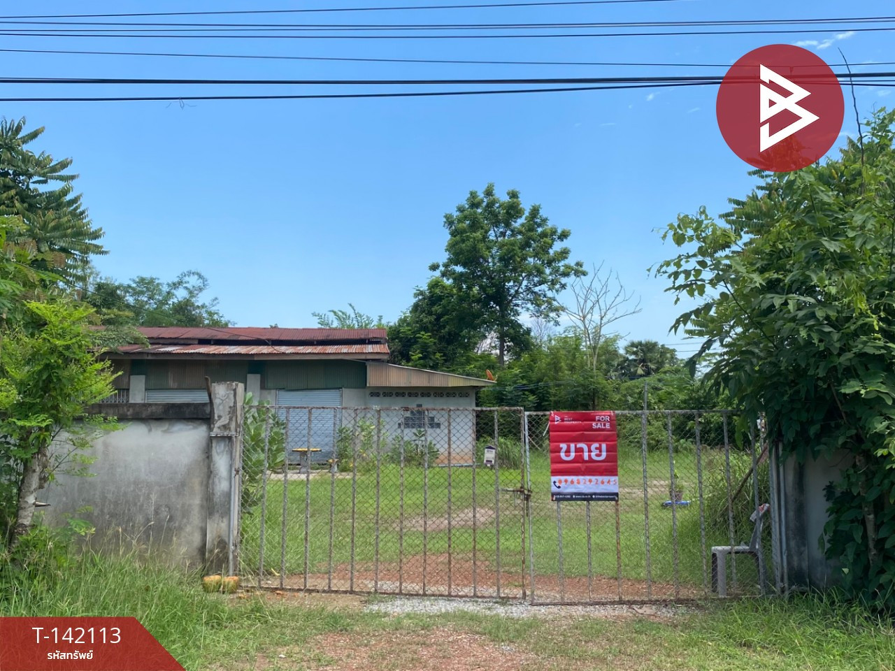 Land for sale with buildings, area 20 rai 2 ngan 68 sq m, Ban Phue, Udon Thani. Land for sale with buildings, area 20 rai 2 ngan 68 sq m, Ban Phue, Udon Thani.