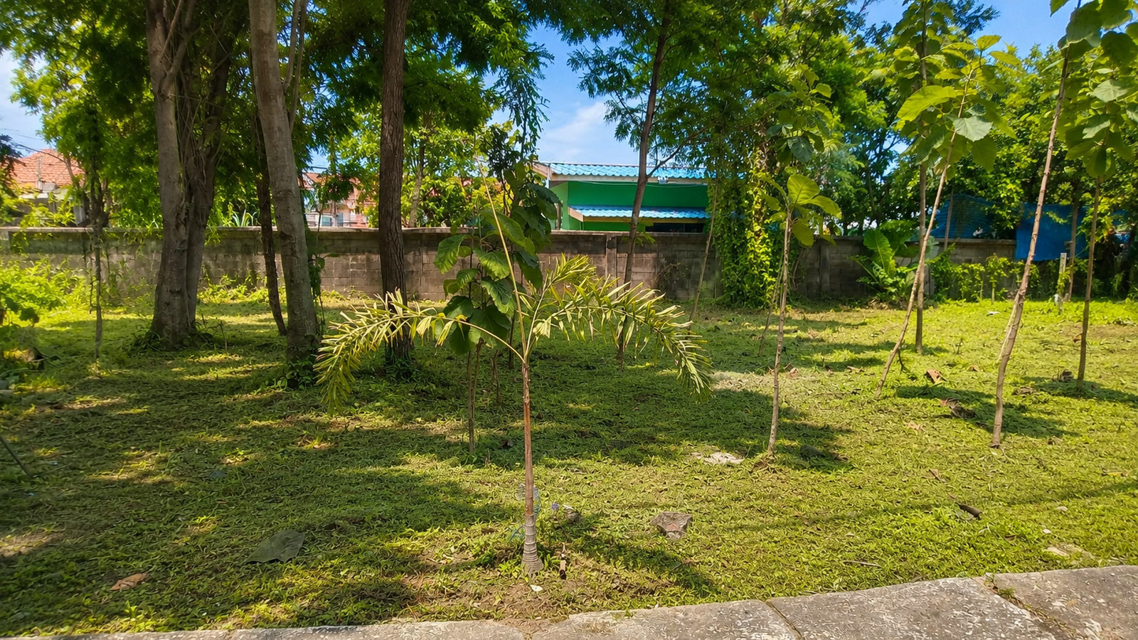356 Sq.M. Residential Land for Custom Home Development in Forest Park Village, Khlong Sam Wa, Bangkok | Near Safari World – รูปที่ 3